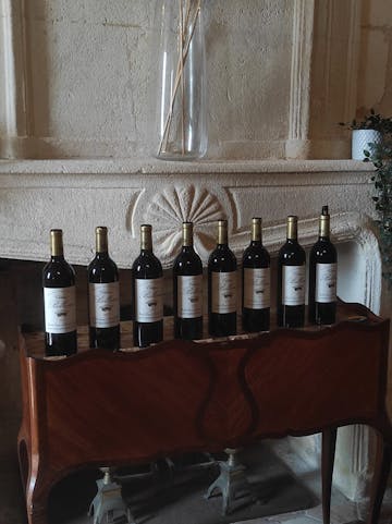 Discover the excellence of Saint-Émilion's grands crus with U'wine at Château Bellevue.