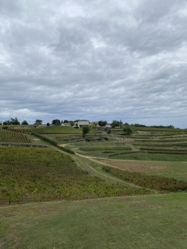 Château Barde-Haut: Saint-Émilion wine estate