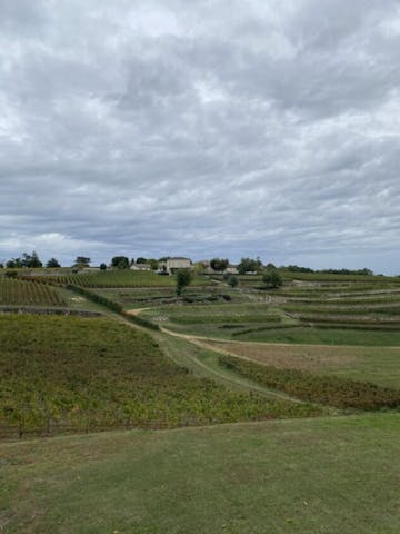 Château Barde-Haut: Saint-Émilion wine estate