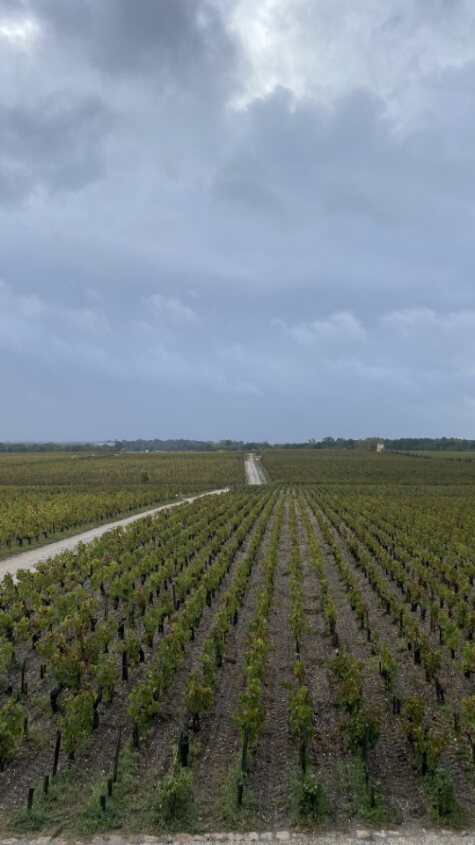 Château Pontet-Canet : Wine estate in Pauillac