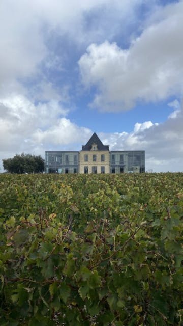 Château Pédesclaux: Wine estate in Pauillac