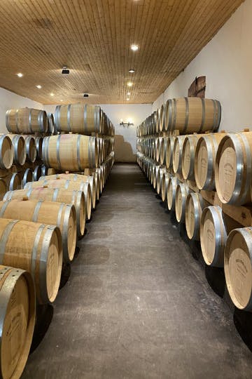 Tour en propriété : Château Picque Caillou, Pessac-Léognan - U'wine