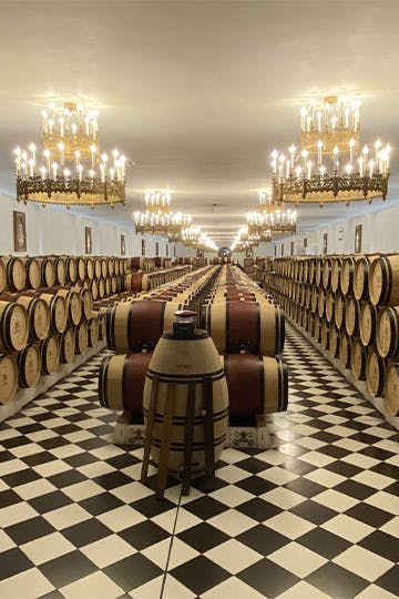 Tour en propriété : Château Pape Clément, Pessac-Léognan - U'wine