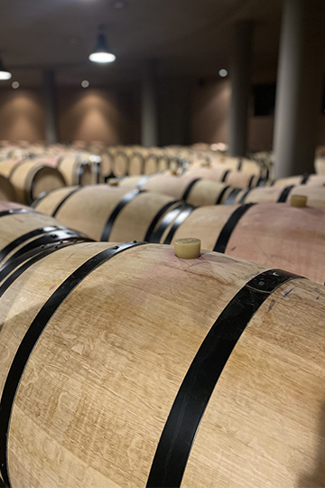 Property tour: Château Fieuzal, Pessac-Léognan - U'wine