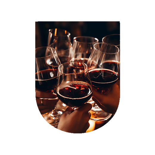 Nos nouveautés vins de Bourgogne l U’wine