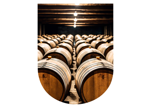 Fermentation alcoolique champagne