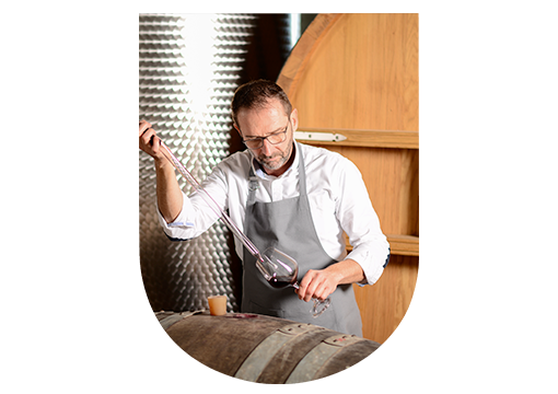 Assemblage cépages champagne