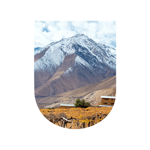 Chile wine-growing region