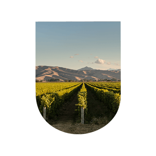 Wine-growing region New Zealand
