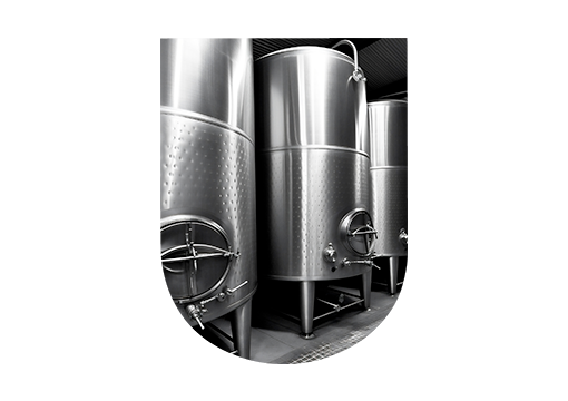 Alcoholic fermentation wine