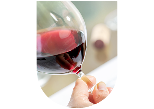 En-Primeurs wines tasting : observing the wine