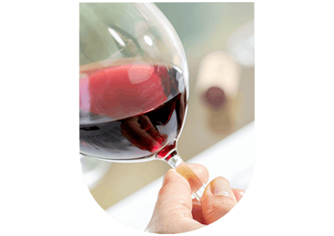 En-Primeurs wines tasting : observing the wine