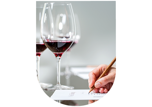 En-Primeurs wines tasting: rate and compare En-Primeurs wines