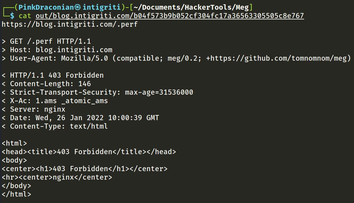 Meg's output file