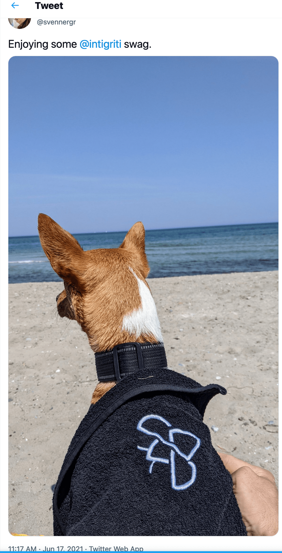 svennergr-dog-swag