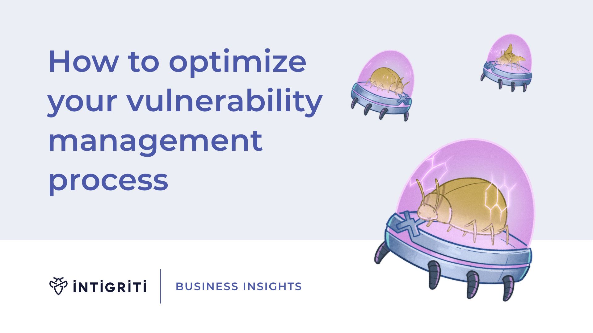Vulnerability management process