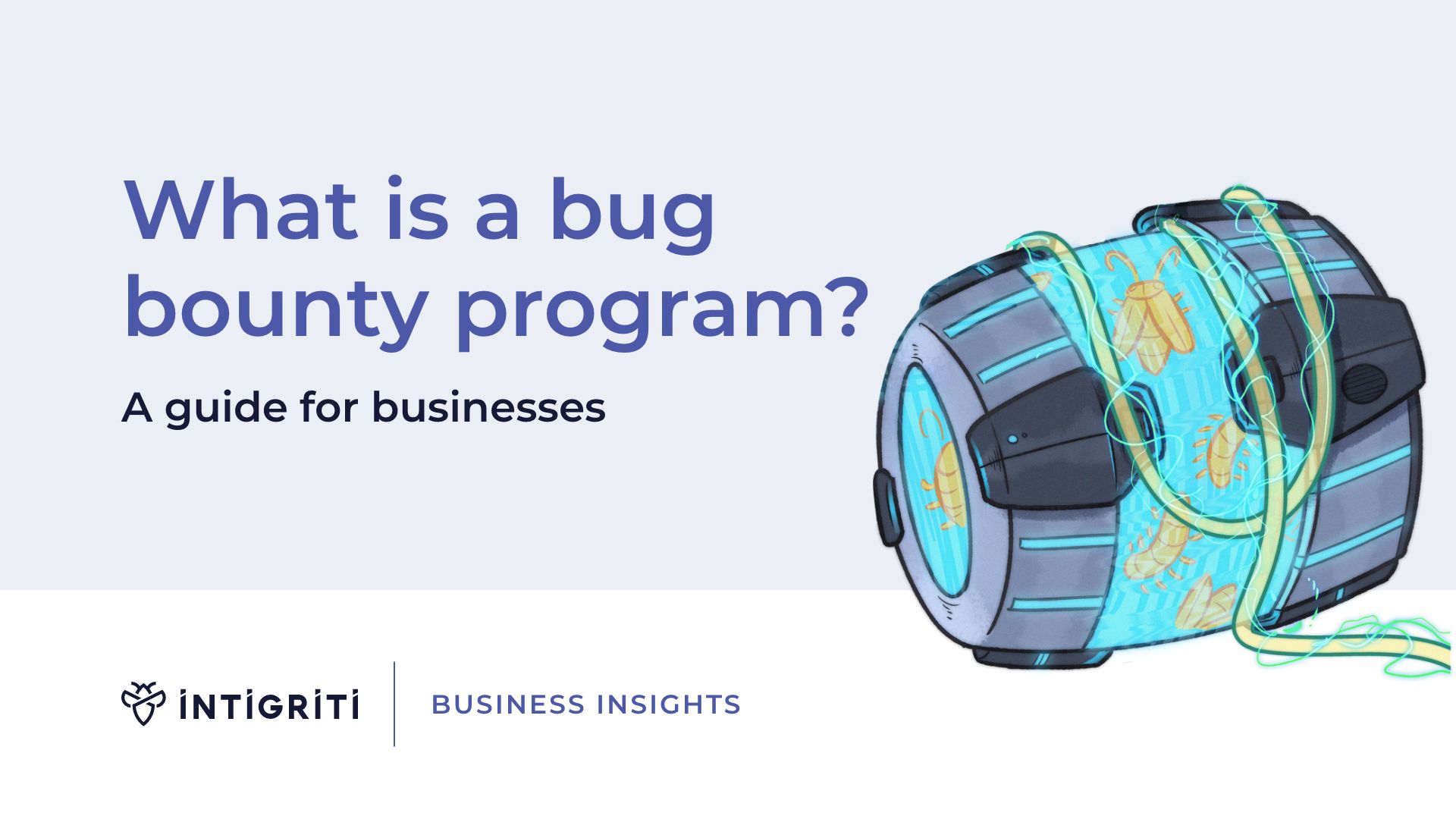 What is a bug bounty program?