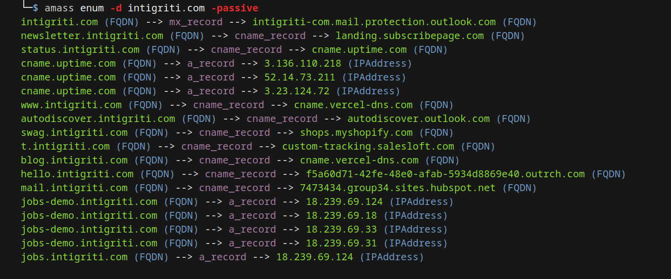 Amass subdomain enumeration