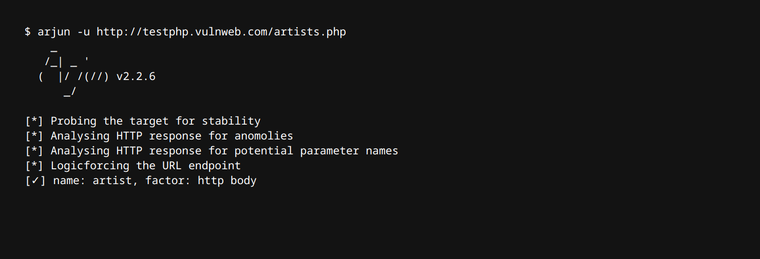Arjun parameter discovery tool demo