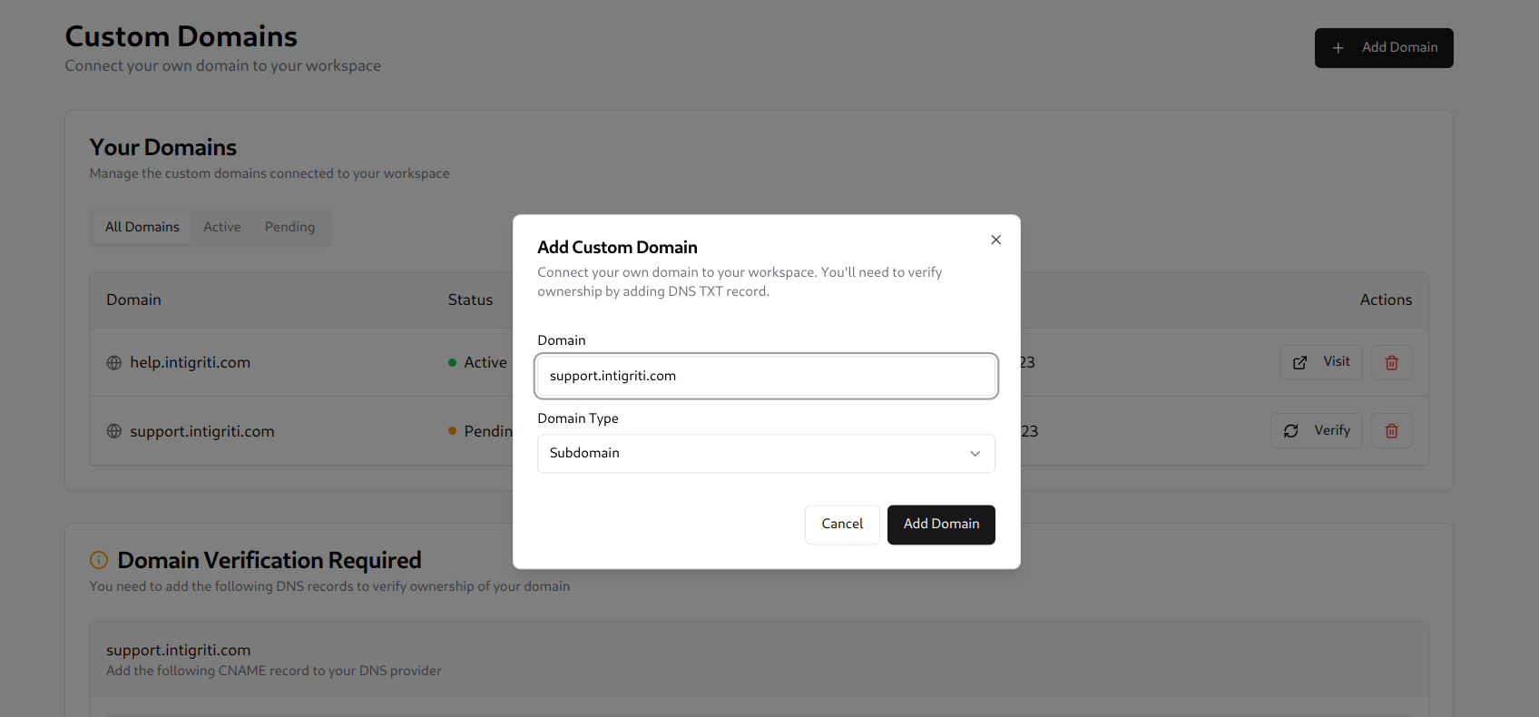 Example of a software vendor providing the possibility to connect custom domains