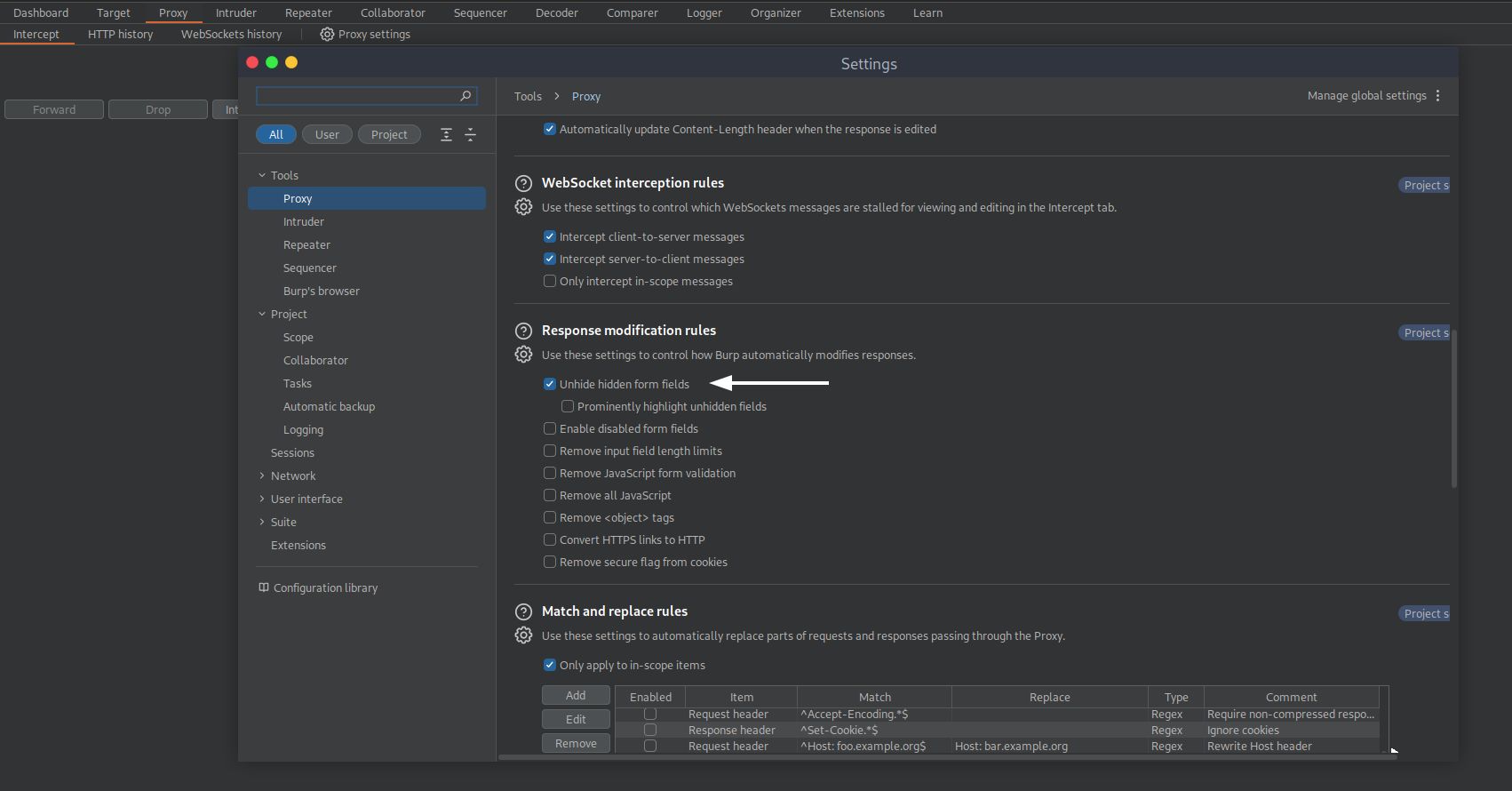Highlighting hidden parameters in Burp Suite