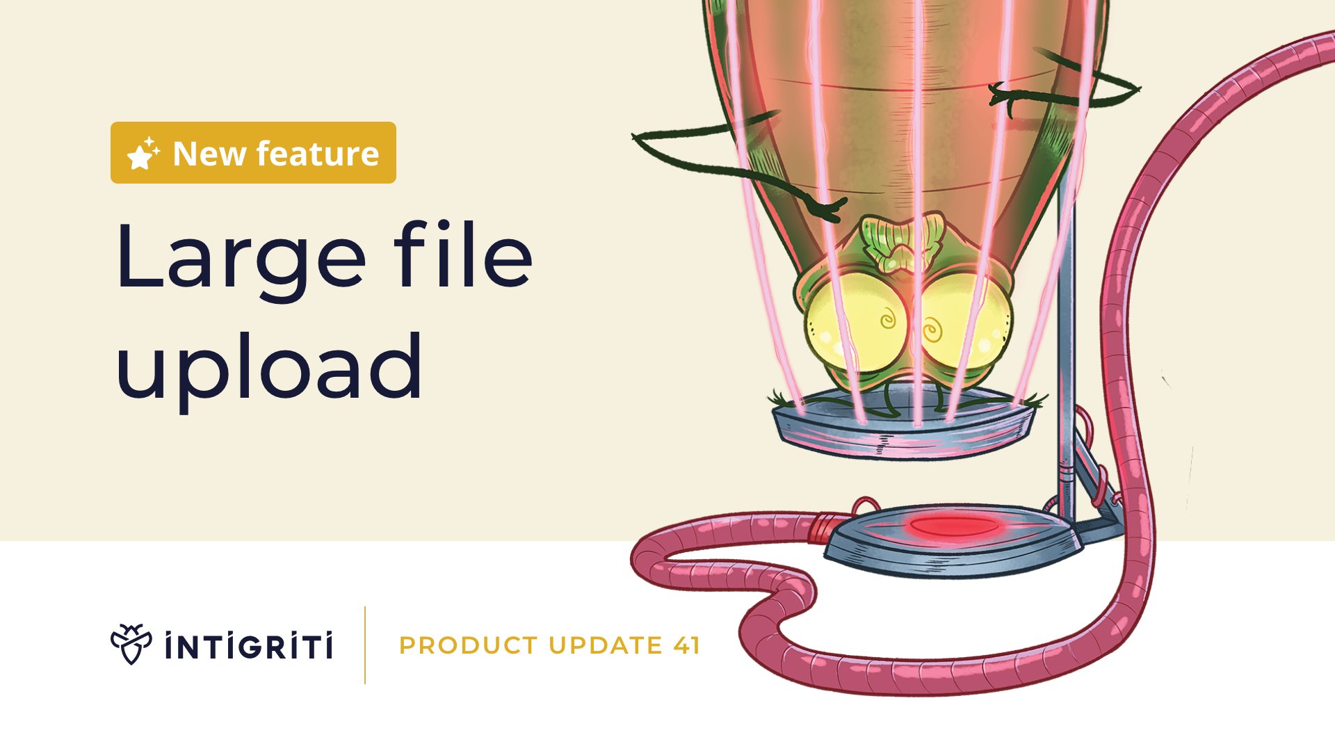 product update 41