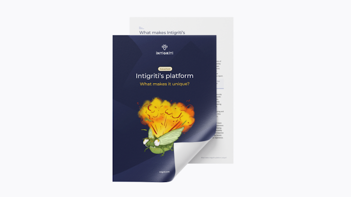intigriti-ds-what-makes-intigritis-platform-unique