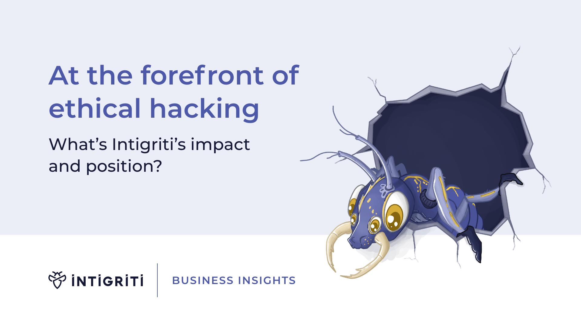 Bug bounty comparison