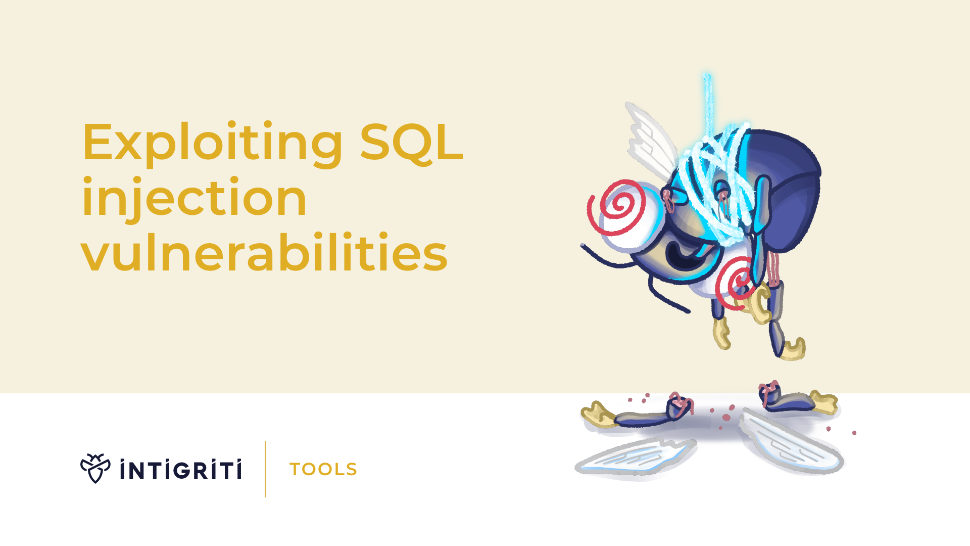 Exploiting SQL injection vulnerabilities Cover Image