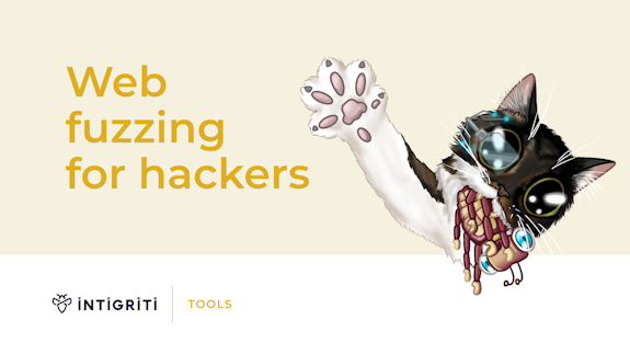 Web fuzzing for hackers Cover Image
