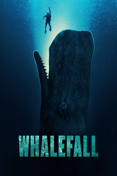 poster from tmdb