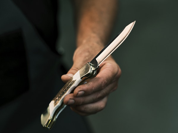 The famous 110 Folding Hunter with an elk handle.