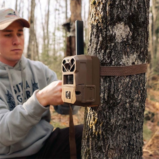 Moultrie trail cam strapped to a tree