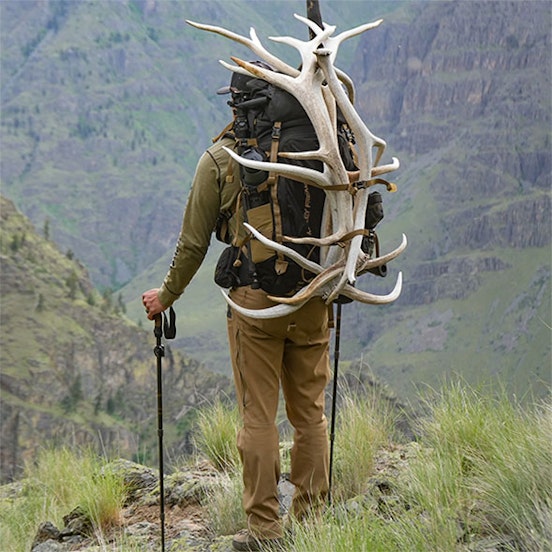 Hunter carrying antlers on his pack