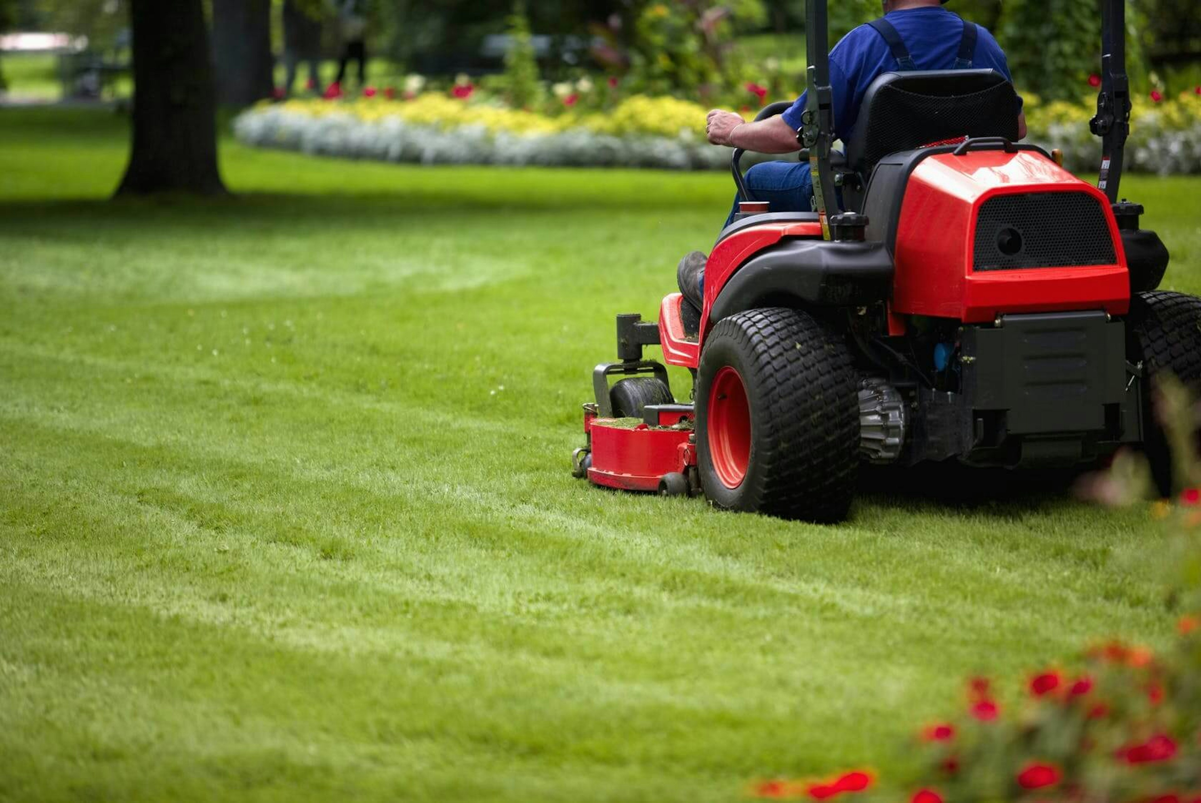 man moving lawn 