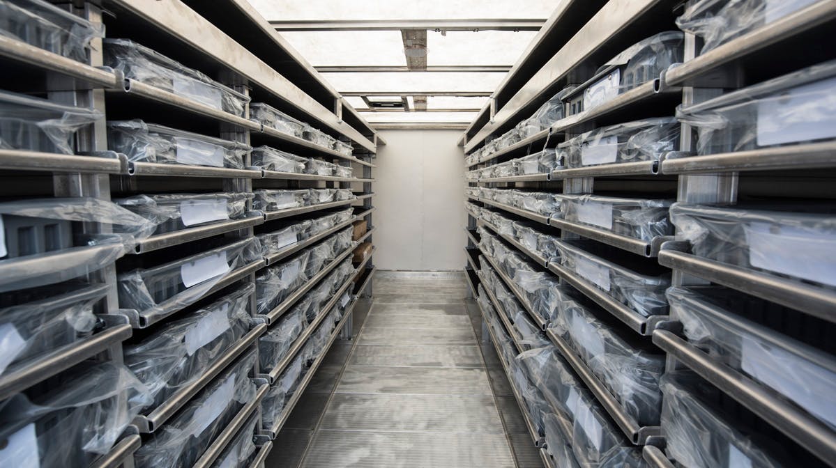 Box Truck Shelving & Equipment Storage | Mike Albert Upfitting
