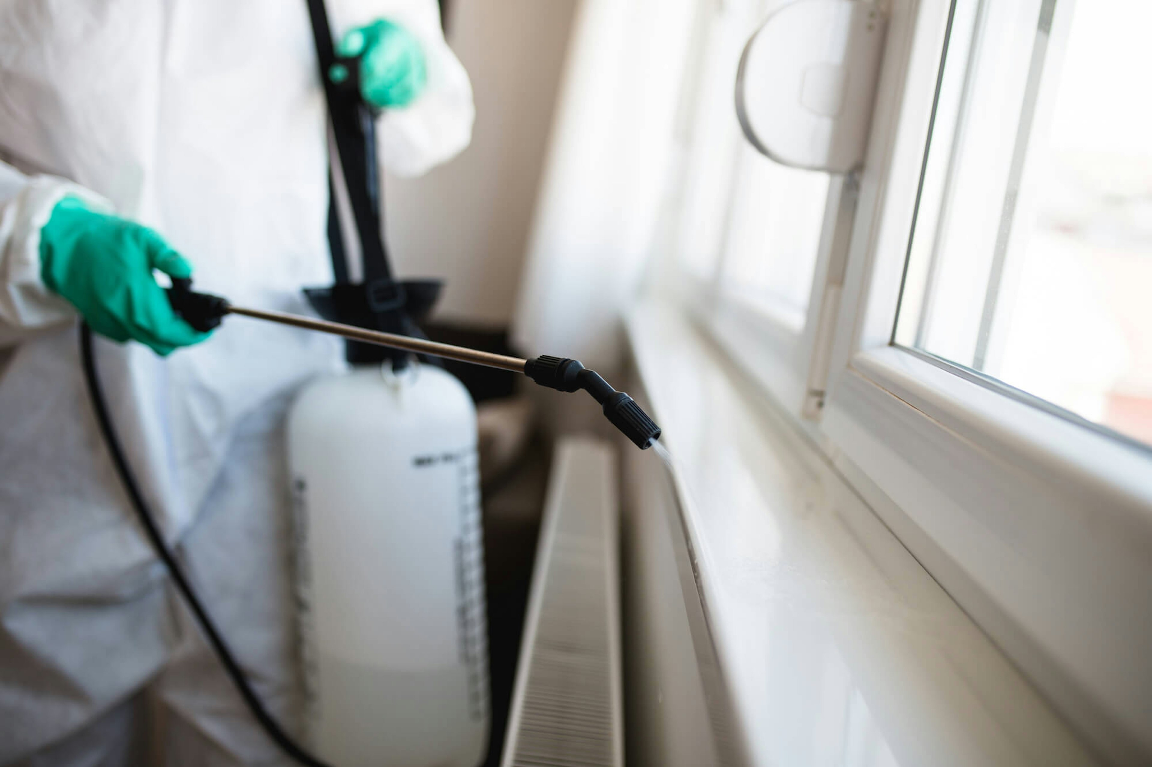 pest control worker spraying window seals 