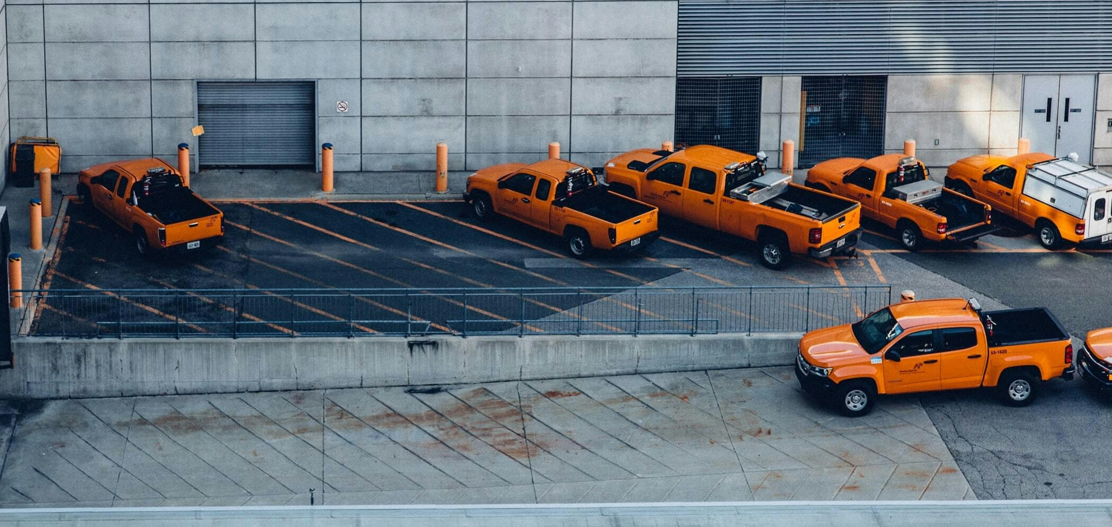 fleet of custom painted trucks