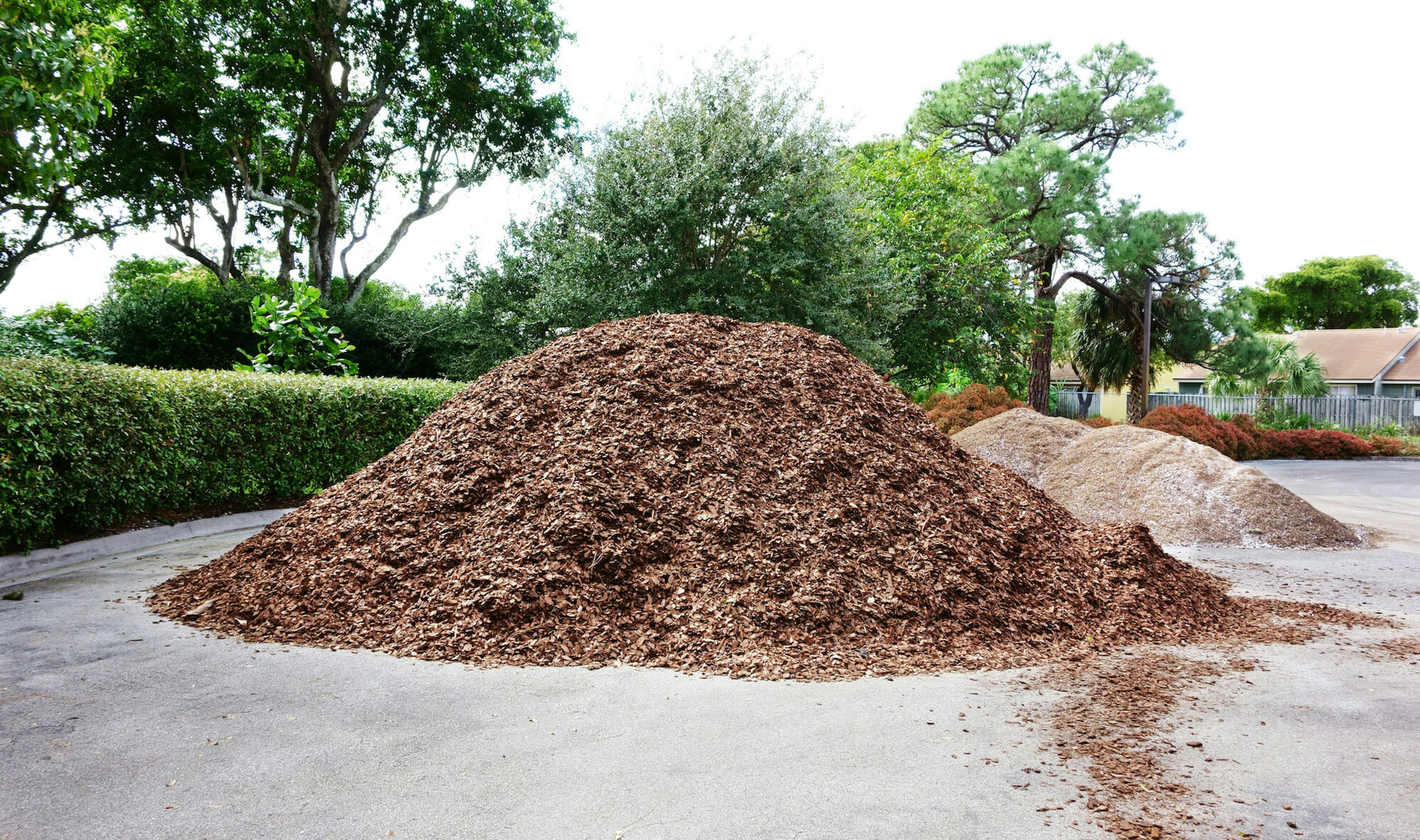 dumped mulch