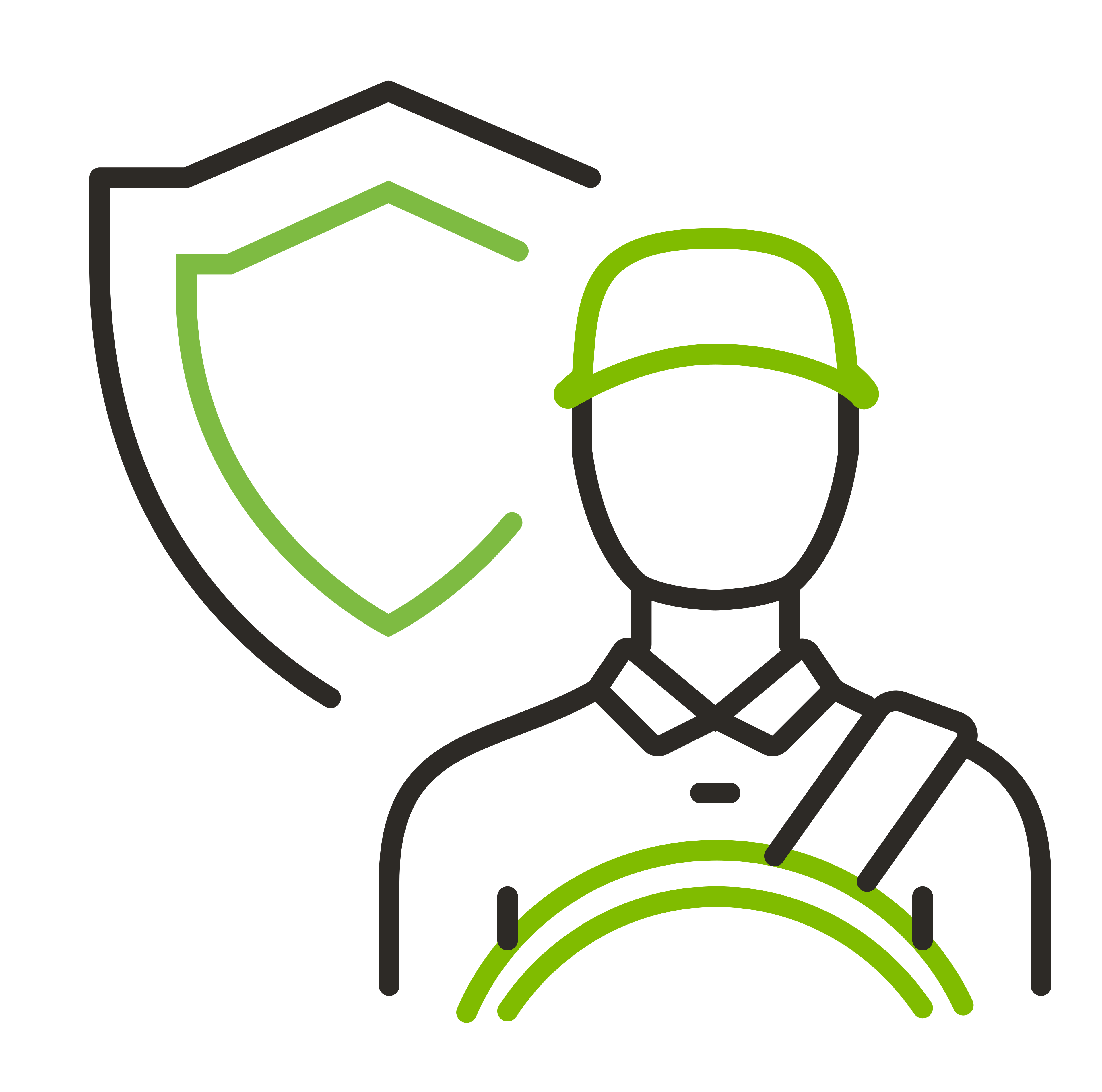 driver safety icon