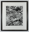 Artwork with frame