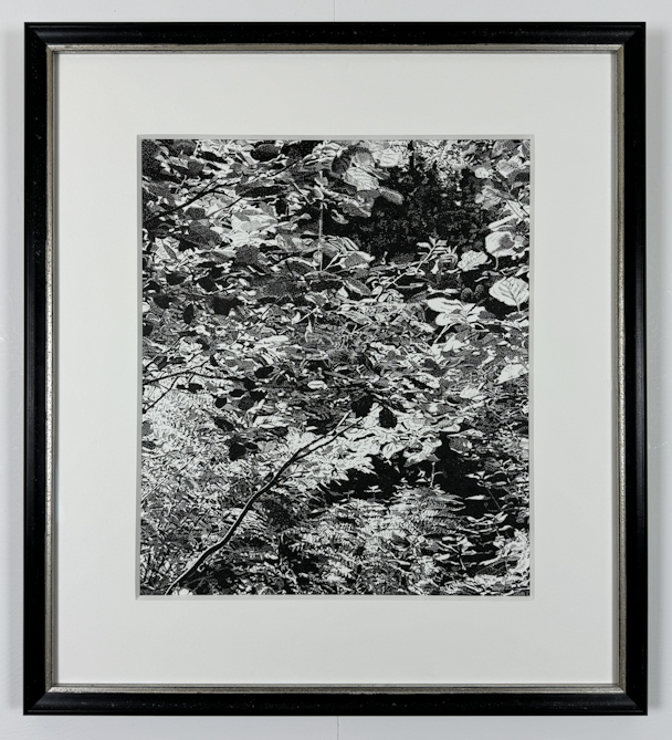Artwork with frame