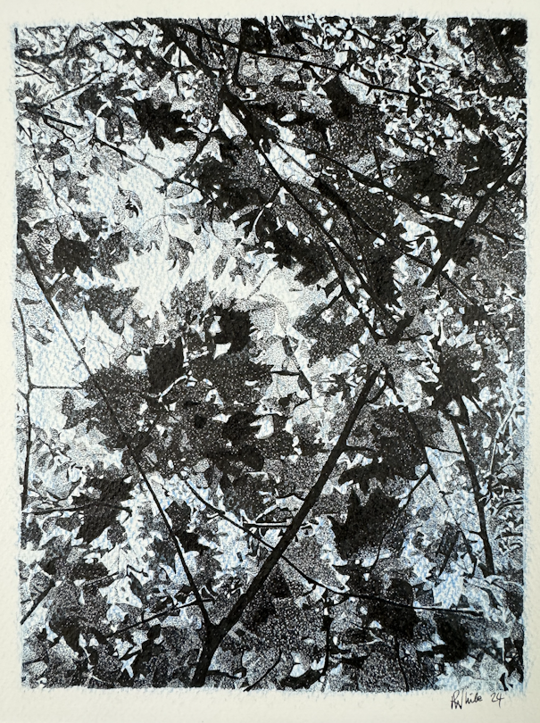 Artwork without frame