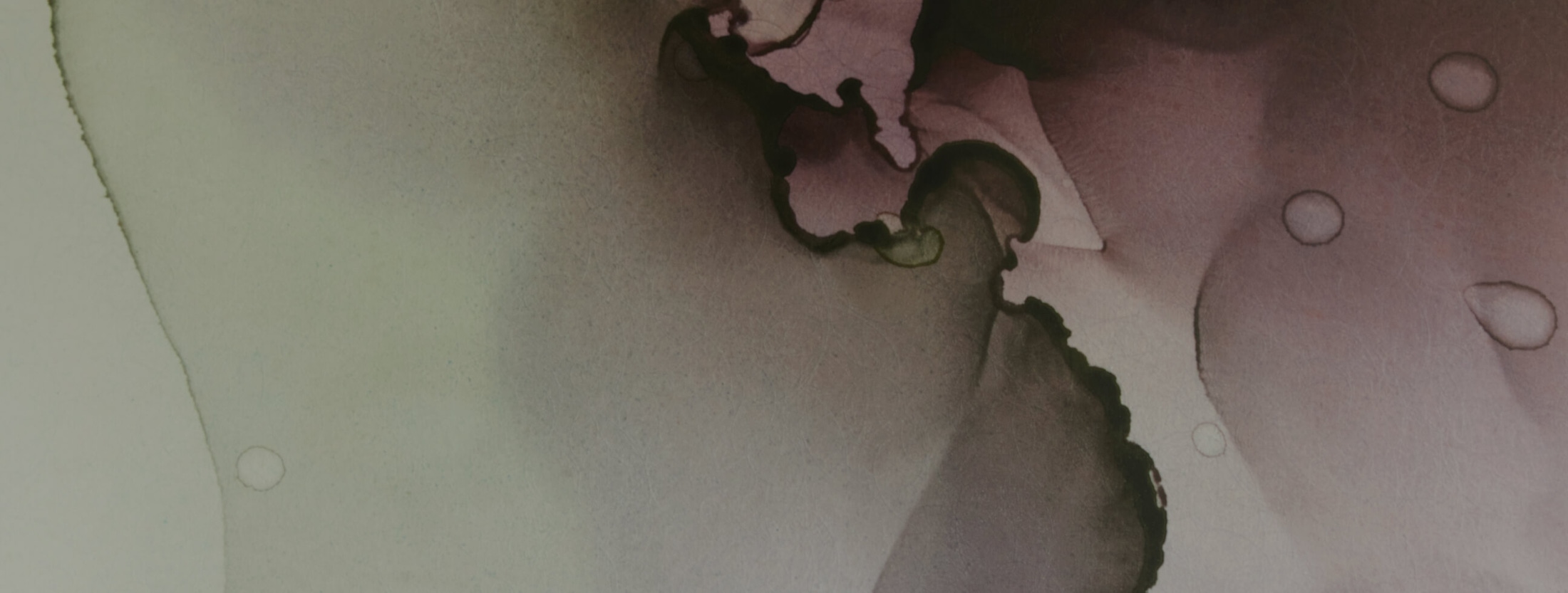 beautiful background image