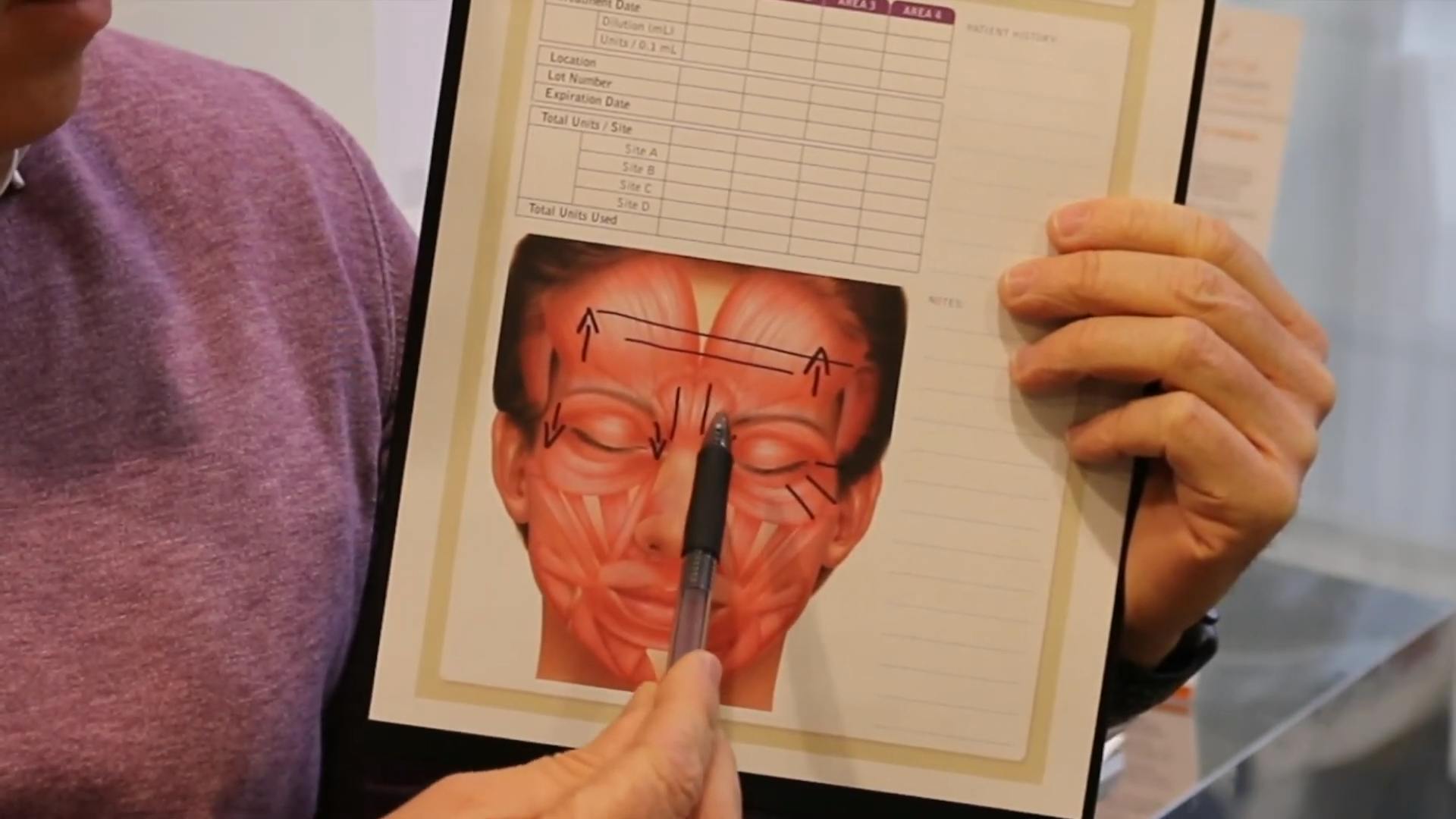 Dr. Moynihan showing someone the anatomy of a human face