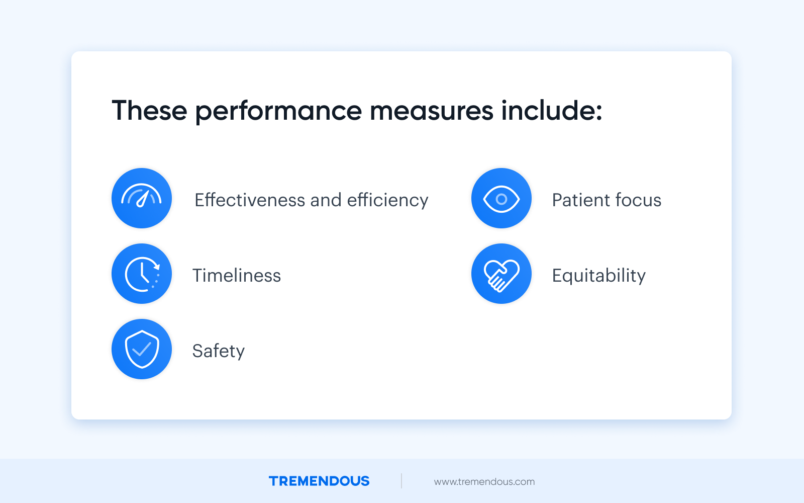 Text reads: "These performance measures include: effectiveness and efficiency, timeliness, safety, patient focus, and equitability."