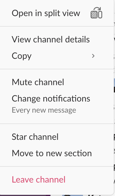 A screenshot of channel options, including an option to "Mute Channel."