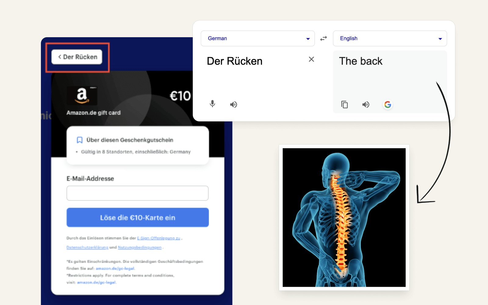 An image showing that "Der Rucken" in German actually translates to 'the back' in terms of anatomy, not direction.