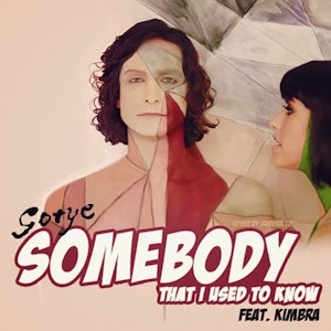 Gotye - Somebody I used to know (House mix)