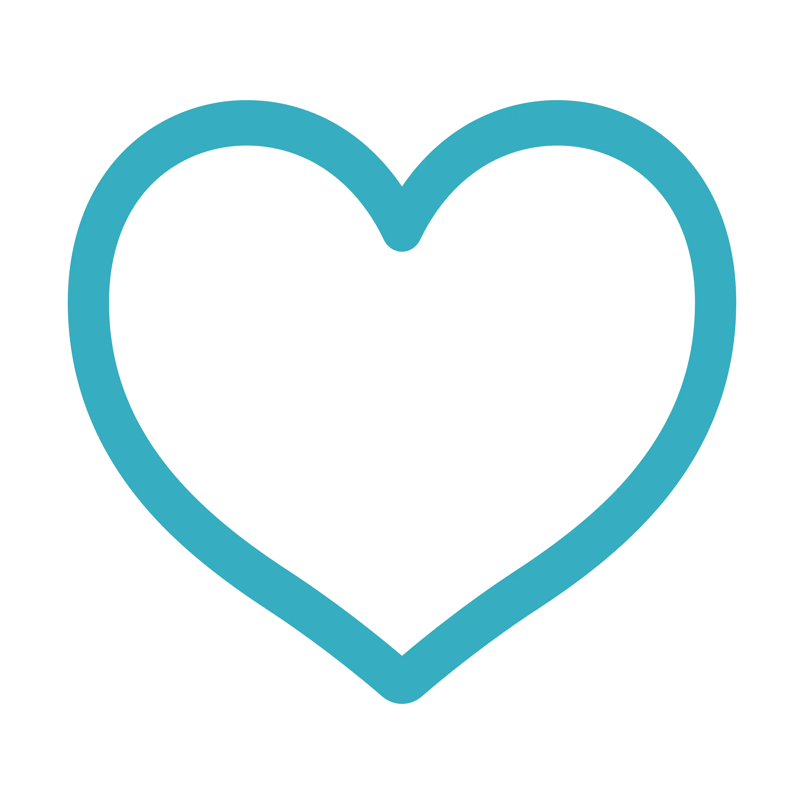 HA | Wisdom Wellbeing